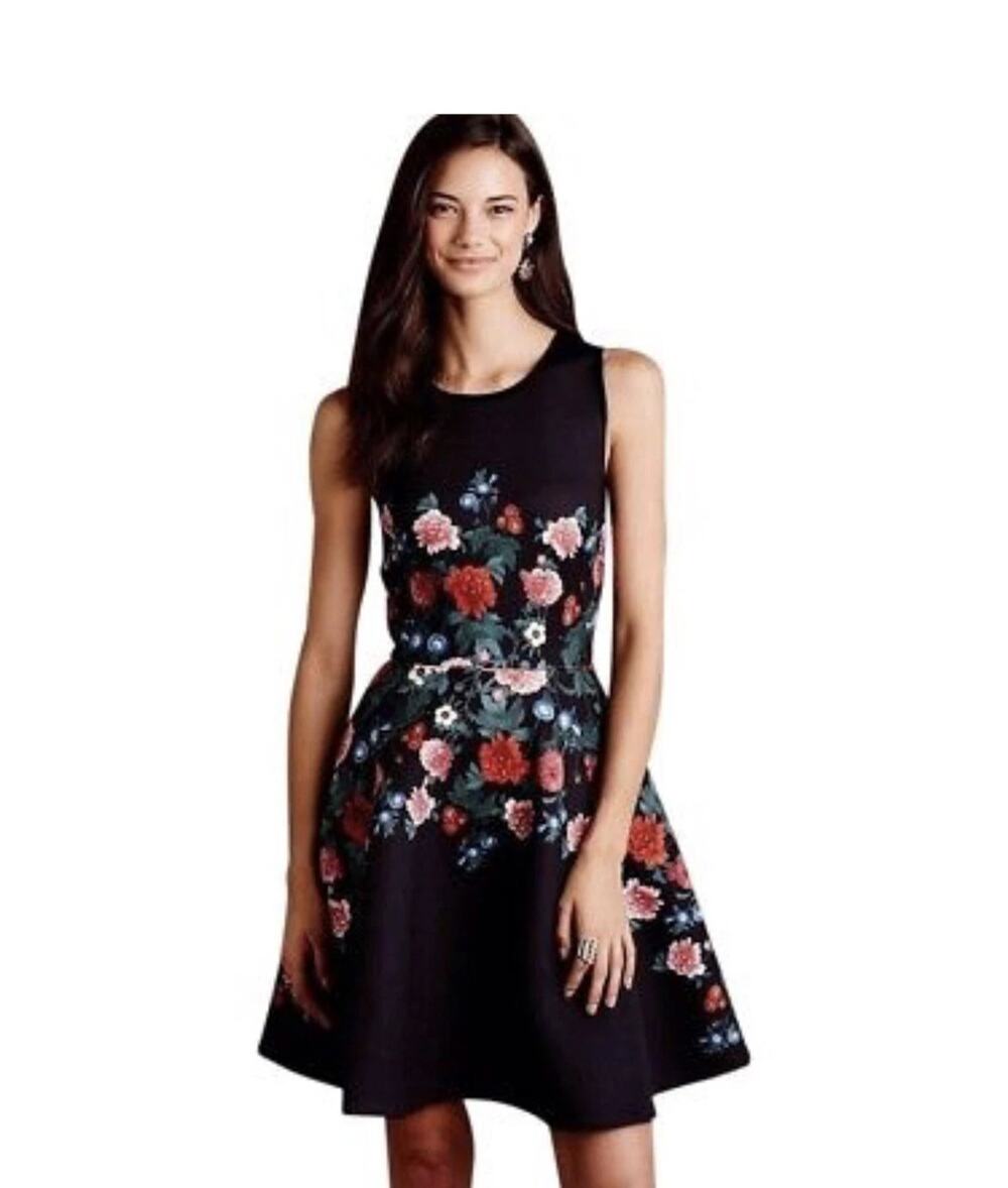 Anthropologie Erin Fetherston Floral Skater Circle Dress size 6